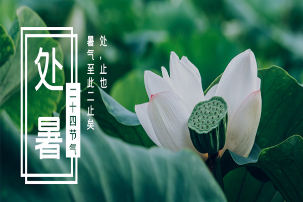 暑尽秋来，喜迎收获的季节
