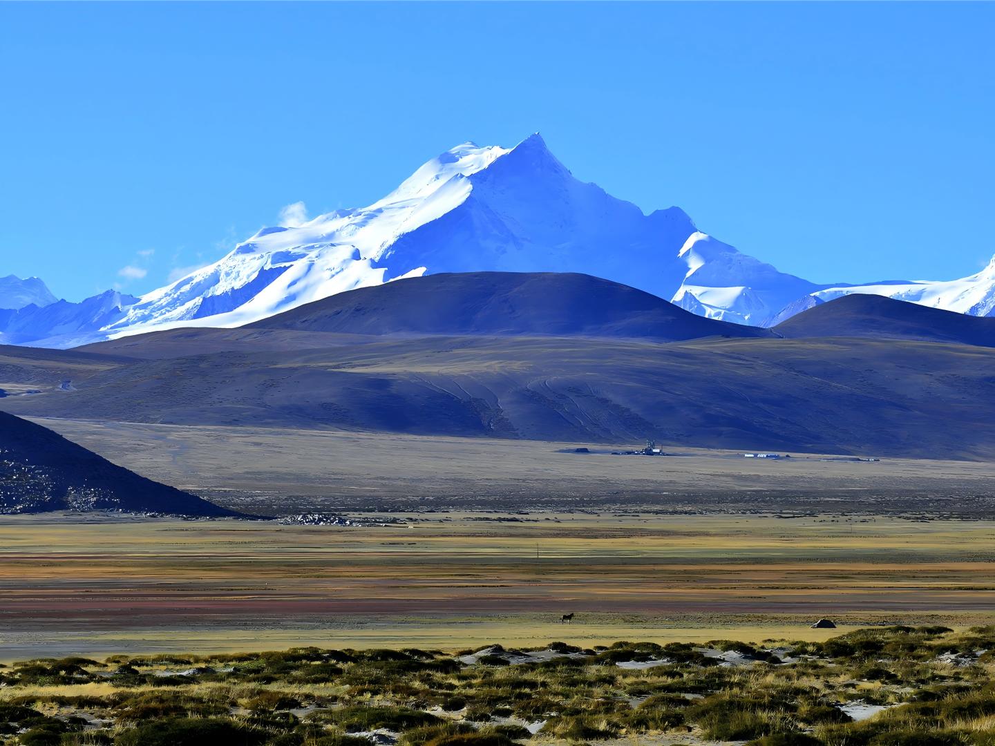 深耕西藏,与时代同行:我司西藏办事处发展纪实